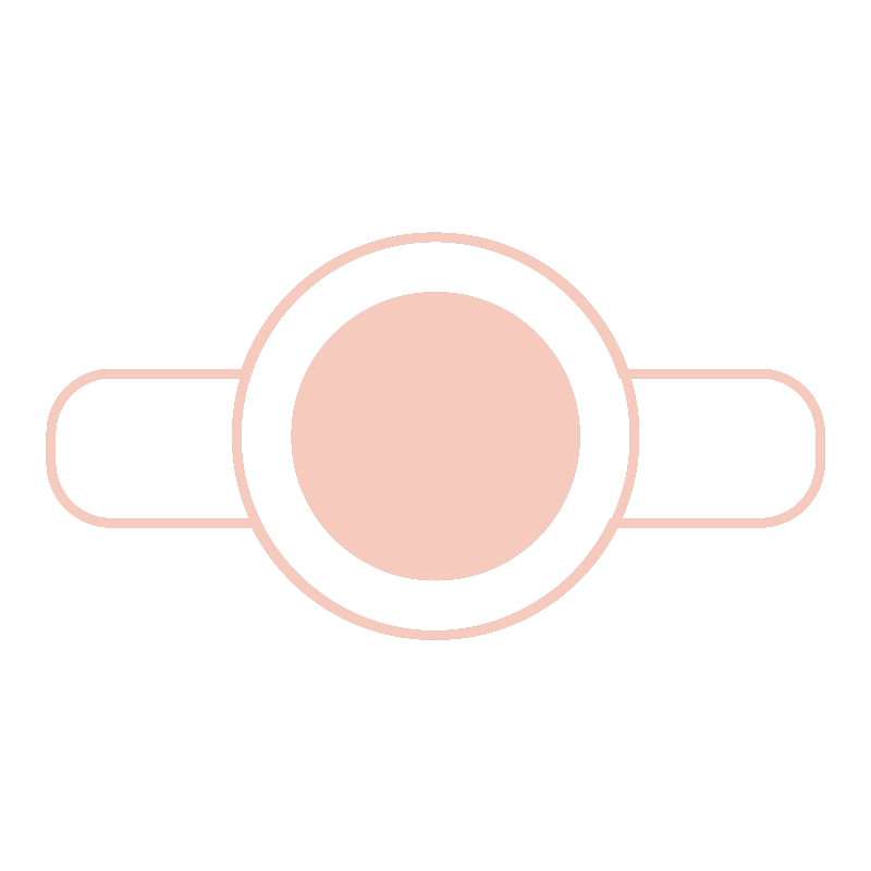 Gemstone ring guide